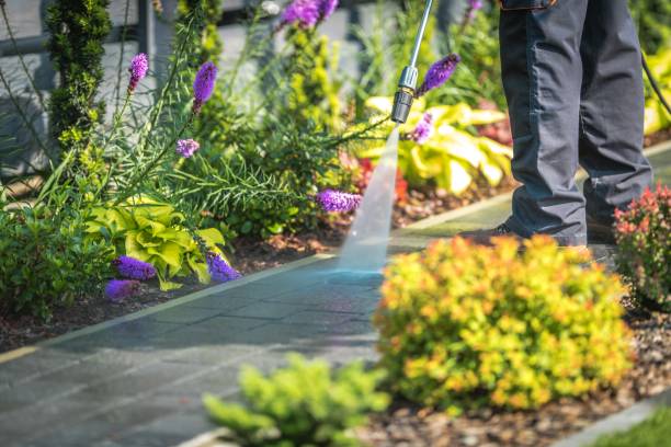 Best Animal Enclosure Cleaning  in Apalachicola, FL